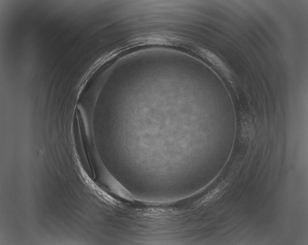 X0000084570938200702231255