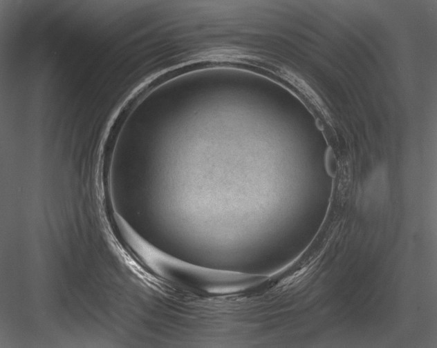X0000084570939200702231255