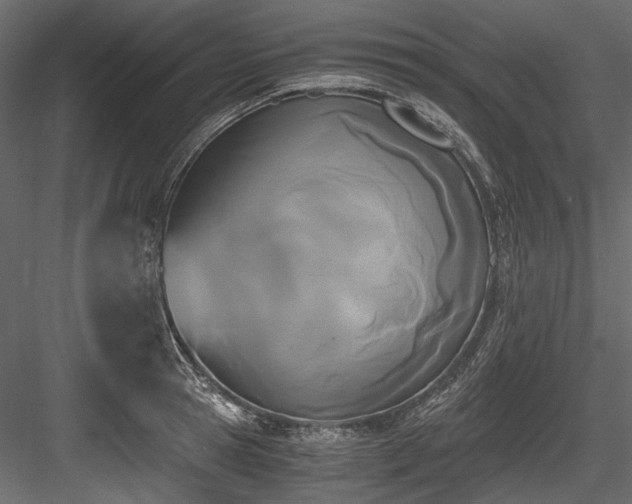 X0000084570945200702231255