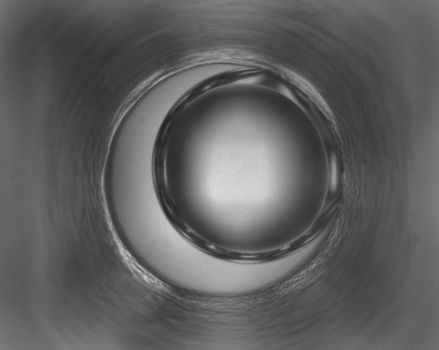 X0000084570946200702231255