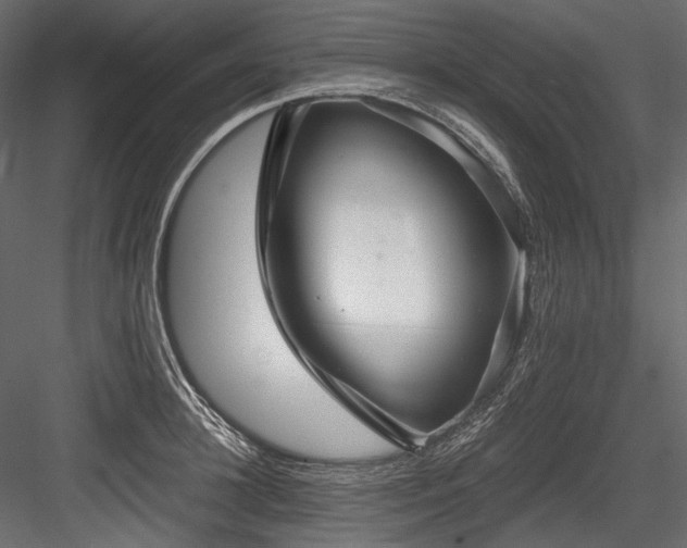 X0000084570948200702231255