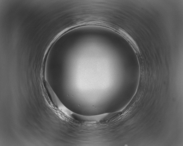 X0000084570956200702231255