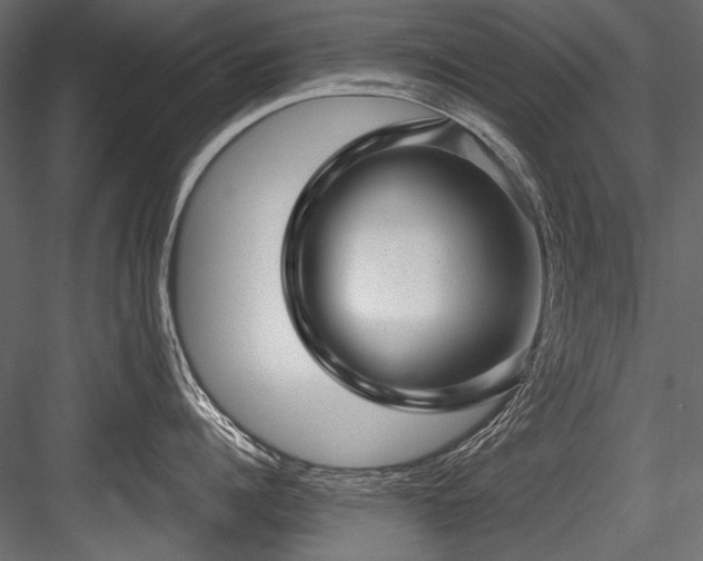 X0000084570960200702231255