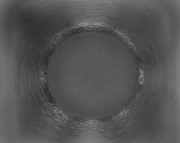 X0000084570966200702231255