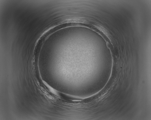 X0000084570971200702231254