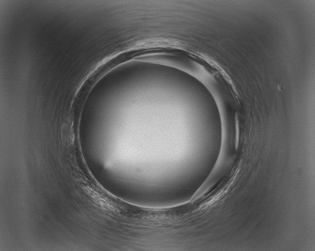 X0000084570973200702231254