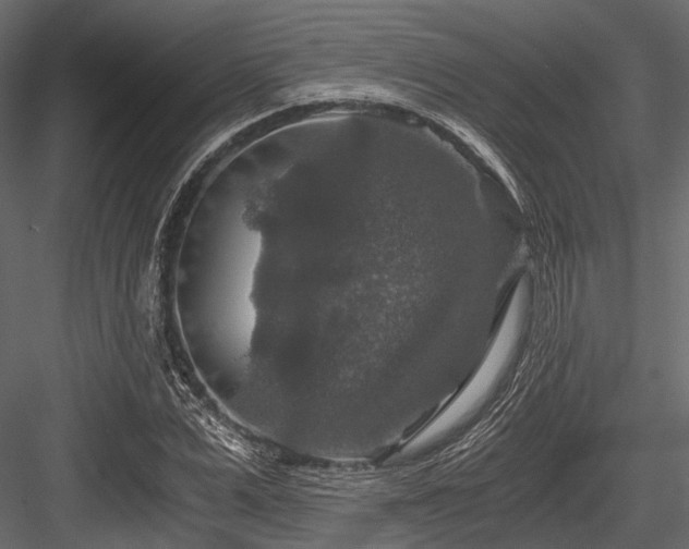 X0000084570975200702231254