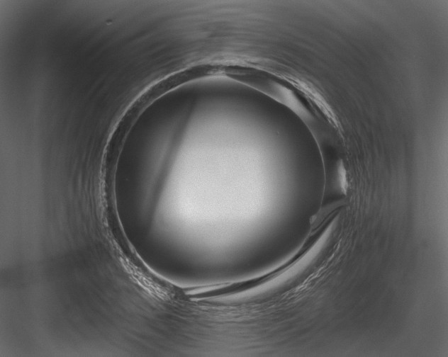 X0000084570976200702231254