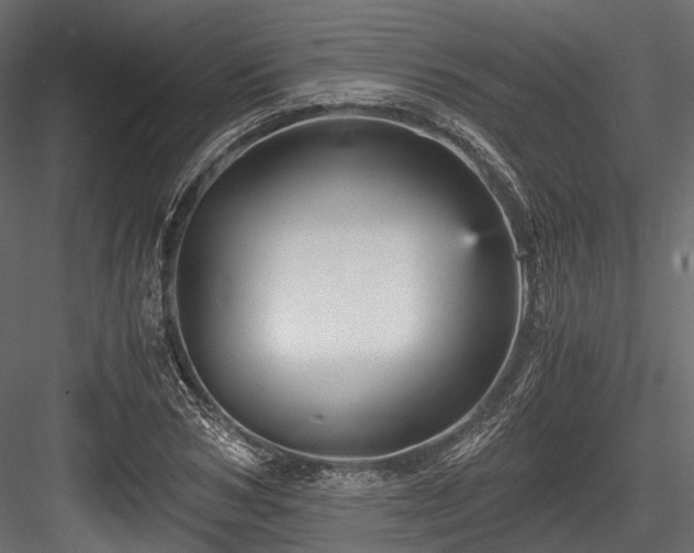 X0000084570978200702231254