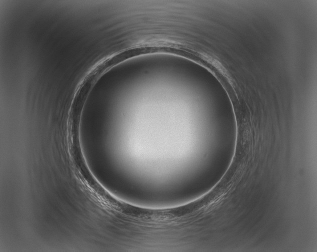 X0000084570979200702231254