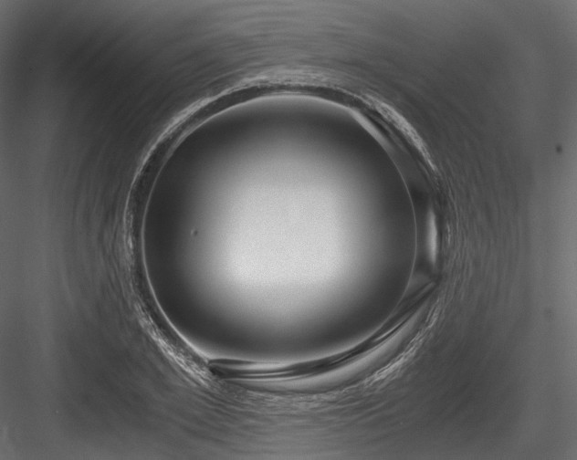 X0000084570981200702231254