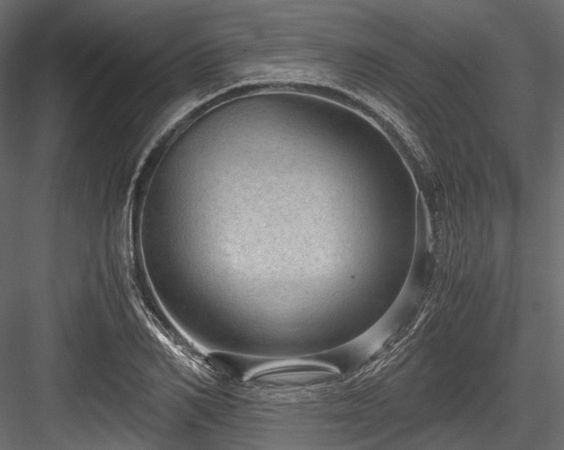 X0000084570982200702231254