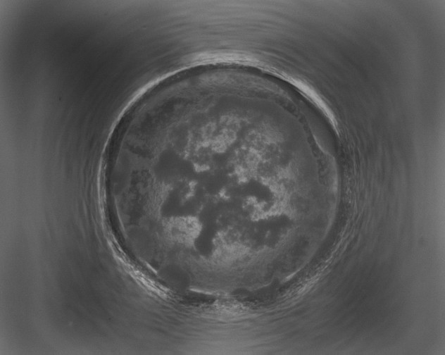 X0000084570983200702231254