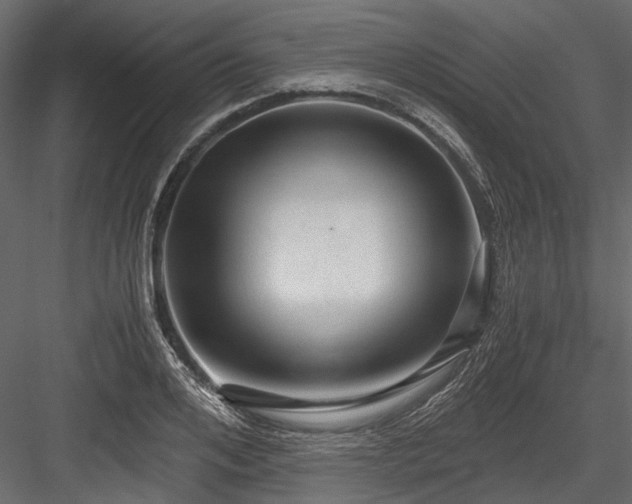 X0000084570984200702231254