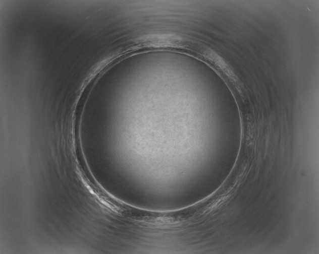 X0000084570986200702231254