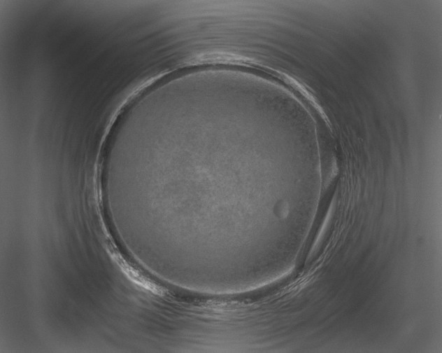 X0000084570987200702231254