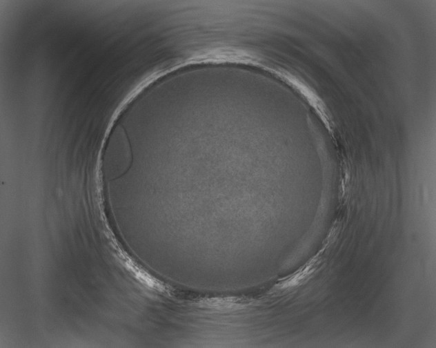 X0000084570990200702231254