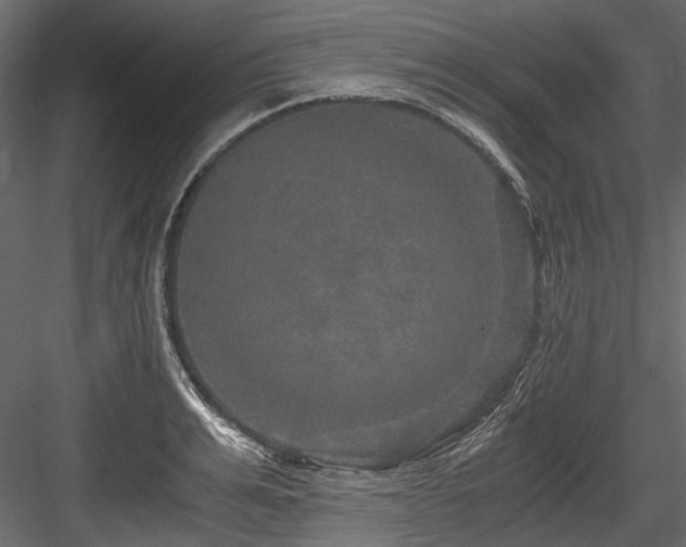 X0000084570991200702231254
