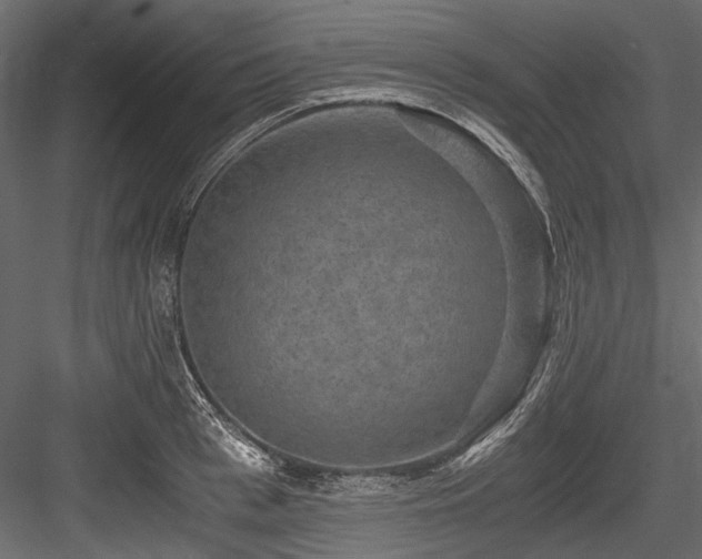 X0000084570993200702231254