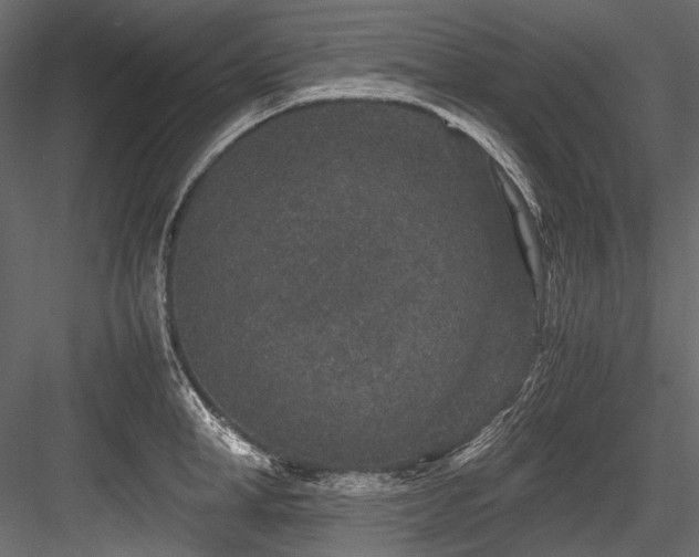X0000084570998200702231254