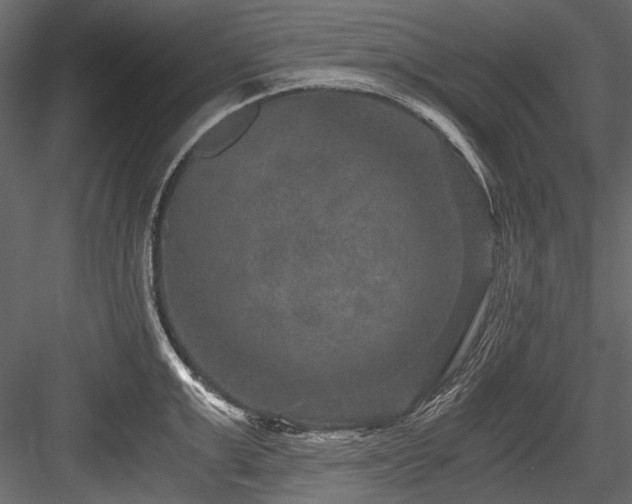 X0000084570999200702231254