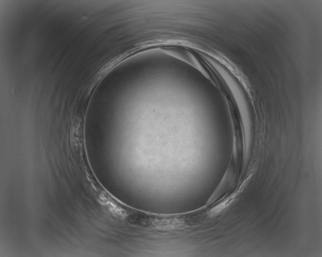 X0000084571001200702231254
