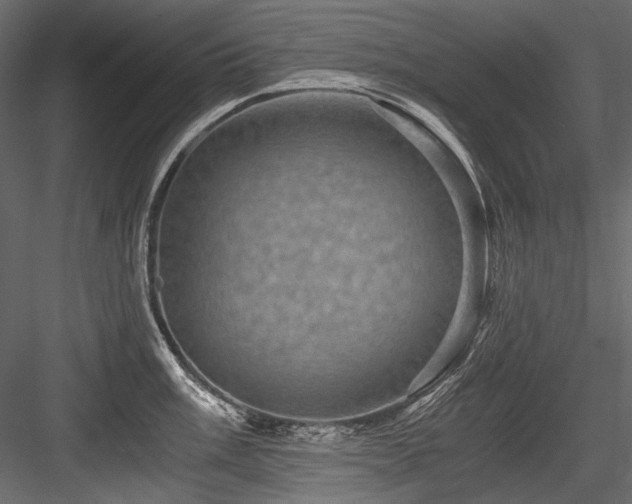 X0000084571003200702231254