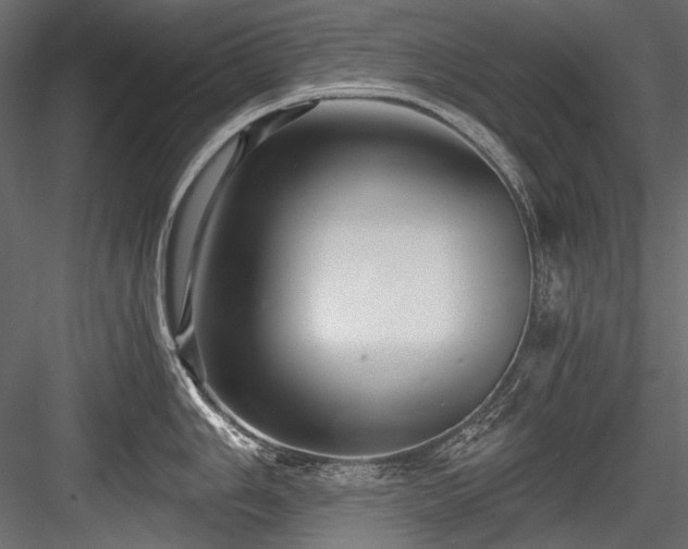 X0000084571006200702231254