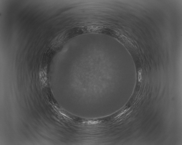 X0000084571011200702231253