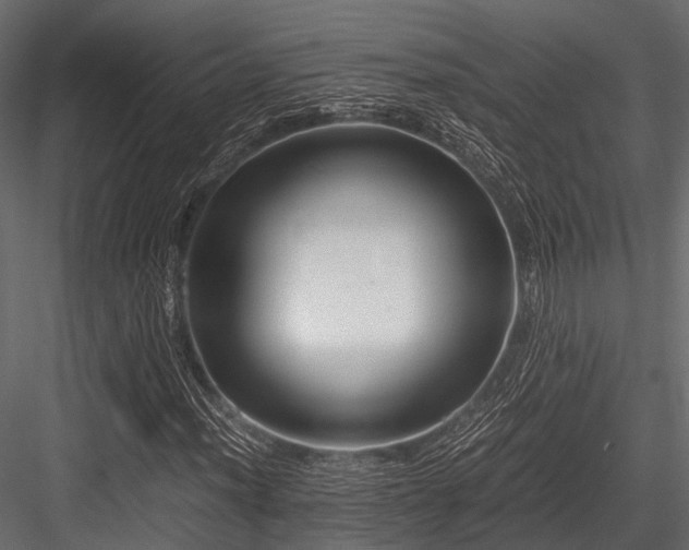 X0000084571012200702231253