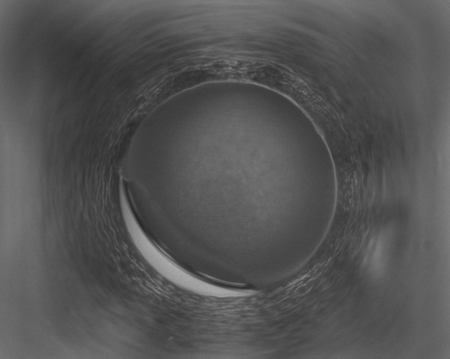 X0000084571013200702231253