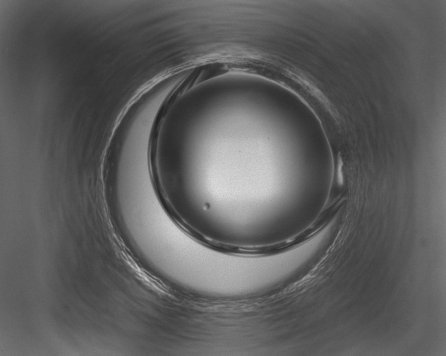 X0000084571026200702231253