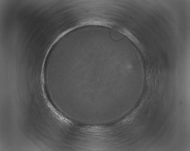 X0000084571028200702231253