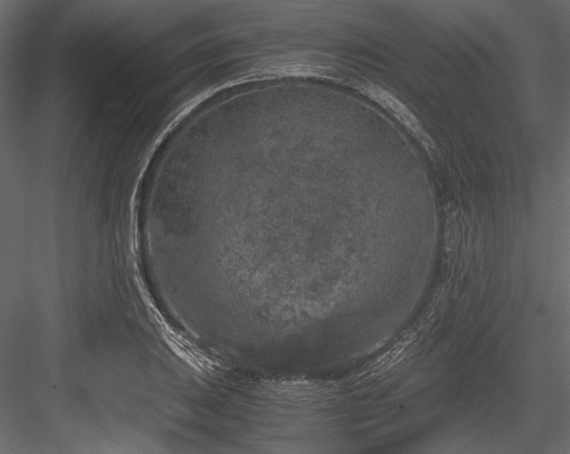 X0000084571031200702231253