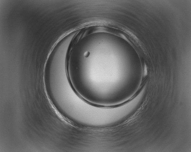 X0000084571034200702231253