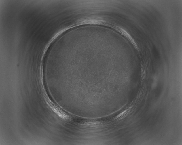 X0000084571035200702231253