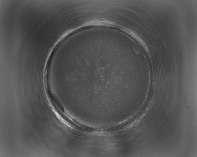 X0000084571037200702231253
