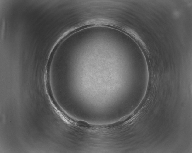 X0000084571040200702231253