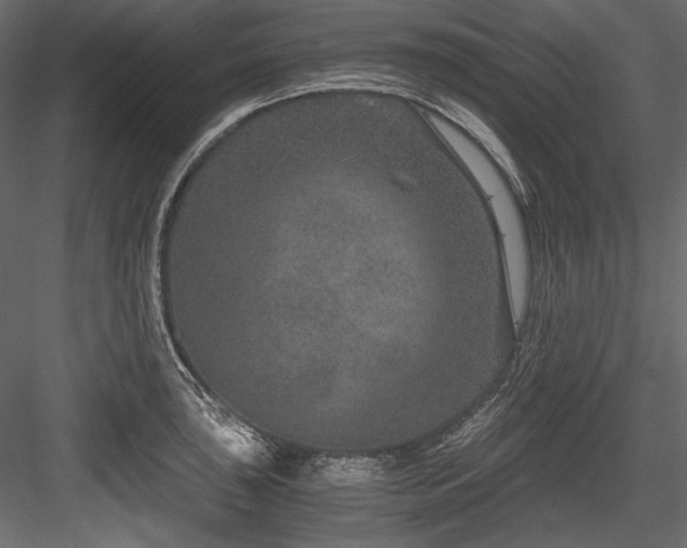 X0000084571043200702231253
