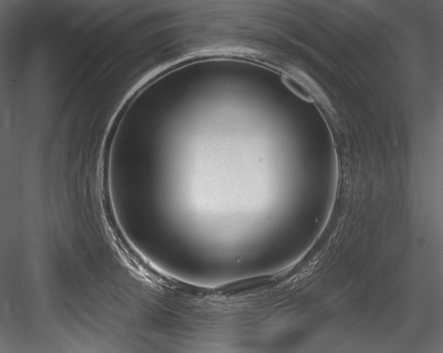 X0000084571044200702231253