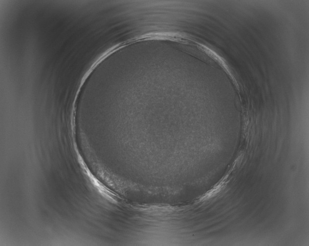 X0000084571050200702231253