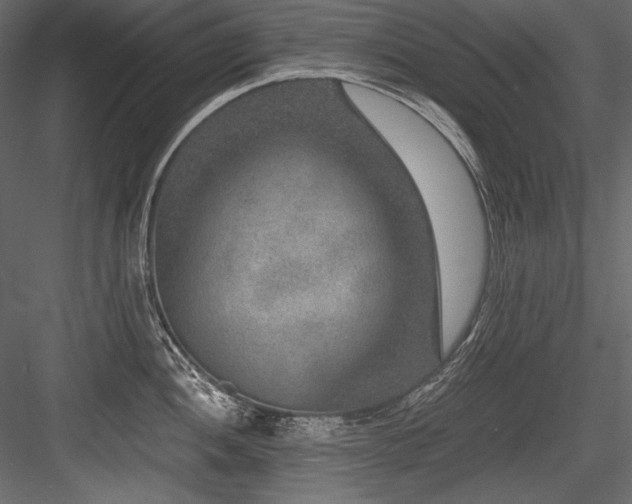 X0000084571052200702231254