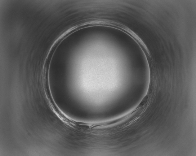 X0000084571053200702231254