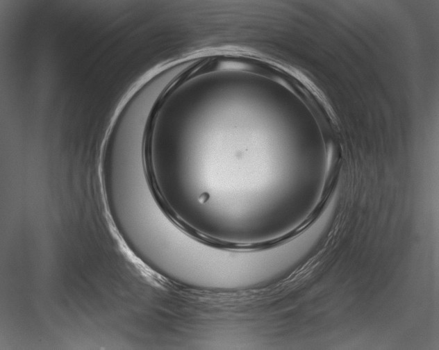 X0000084571054200702231254