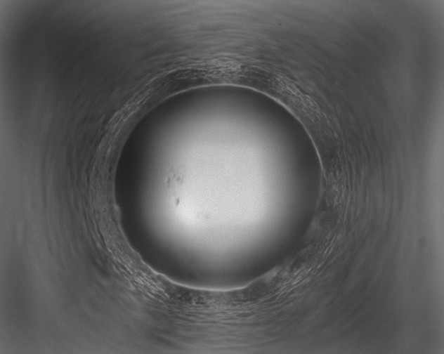 X0000084571057200702231253
