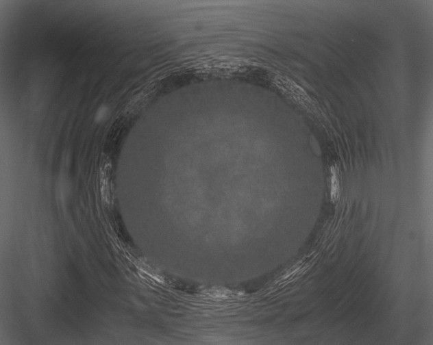 X0000084571059200702231253