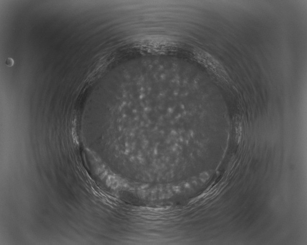 X0000084571060200702231253