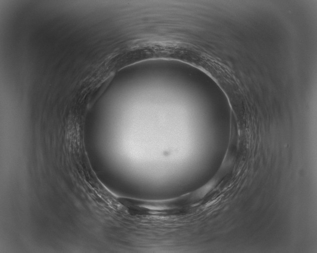 X0000084571061200702231253
