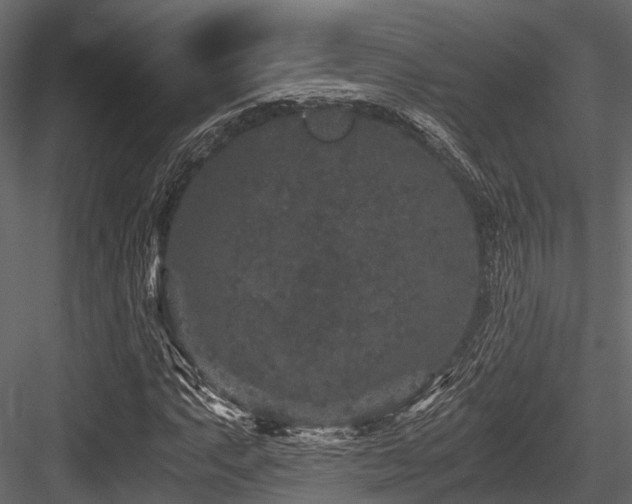 X0000084571063200702231253