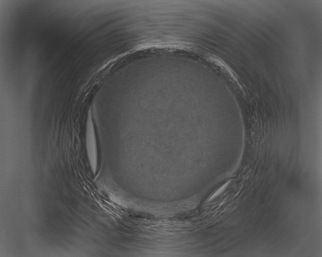 X0000084571064200702231253